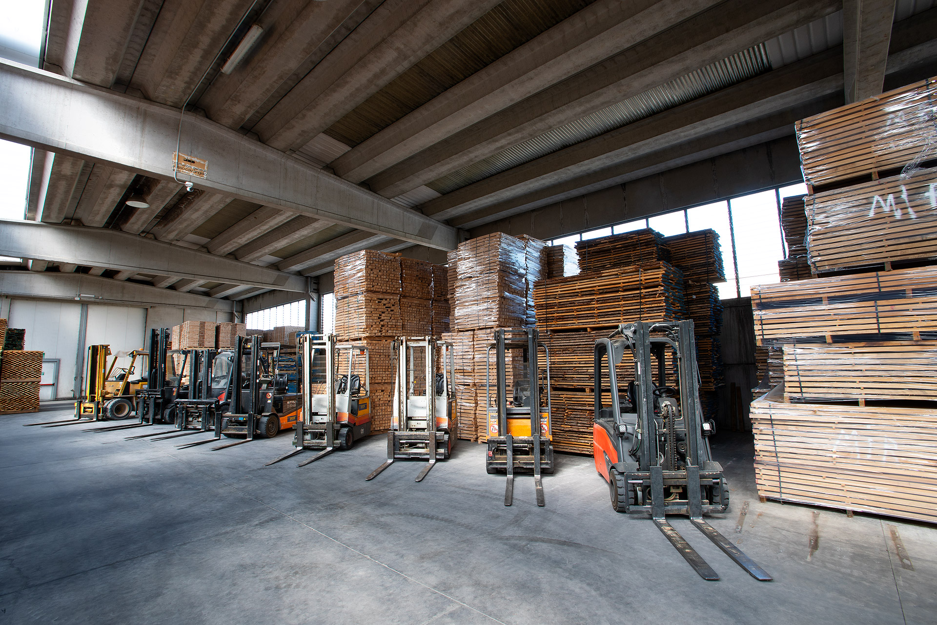 Fleet of forklifts lined up