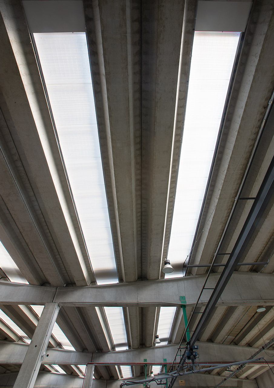 Lucernai sul tetto dello stabilimento