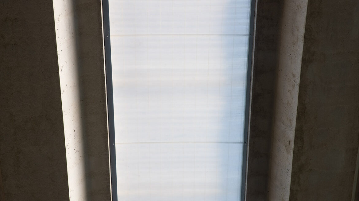 Particolare di lucernaio sul tetto dello stabilimento